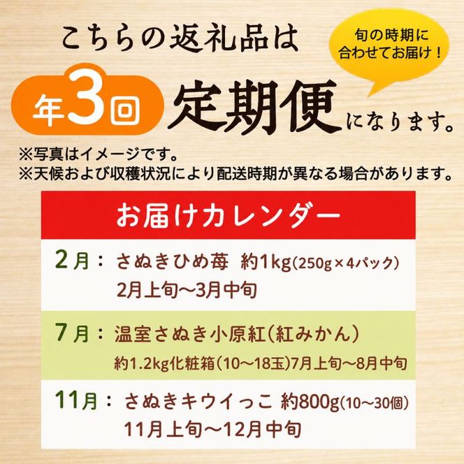 讃岐のフルーツ3回定期便【A】【さぬきひめ苺】【温室さぬき小原紅(紅みかん) 】【さぬきキウイっこ】