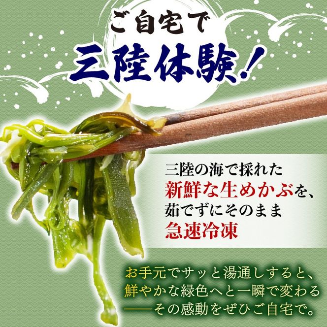 三陸産 生めかぶ 800g (100g×8パック) 冷凍 国産 めかぶ メカブ 和食 海藻 海産物 三陸 国産 岩手県 国産 味噌汁 ごはん 夕飯 おかず サラダ 大船渡 [nakano007_1]