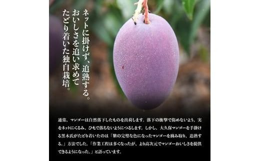 令和7年発送】宮崎マンゴー 太陽の子6玉（2.7kg以上） 【 果物