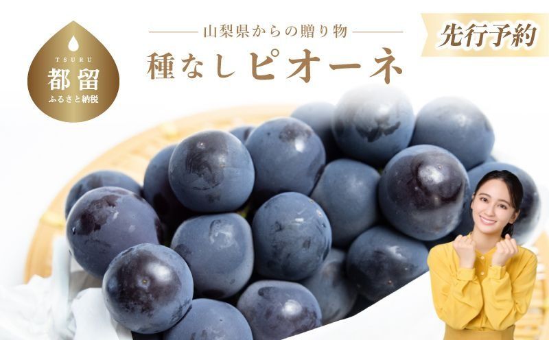 FB002[2026年 先行予約]山梨県産 種なしピオーネ2〜3房(約1.0Kg)
