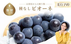 FB002【2025年 先行予約】山梨県産　種なしピオーネ２房(約1.0Kg）