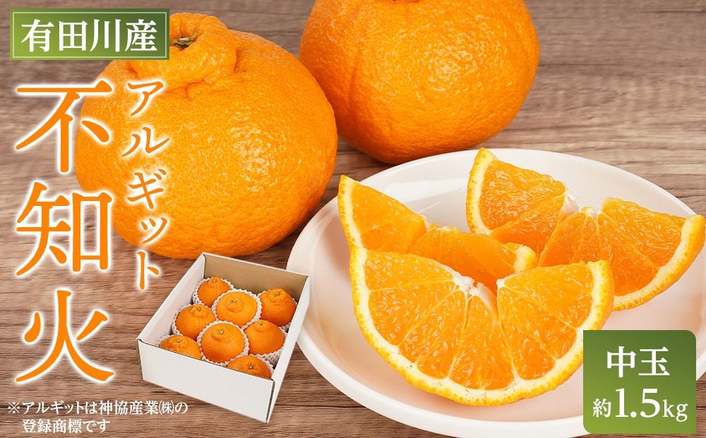 アルギット 不知火 約1.5kg 中玉 サイズ(7〜8玉)| 先行予約 不知火 デコ みかん 甘い おいしい ジューシー 完熟 期間限定 数量限定 フルーツ 果物 柑橘 人気 おすすめ 高級 こだわり ギフト 旬 お取り寄せ 送料無料 和歌山 有田川町
