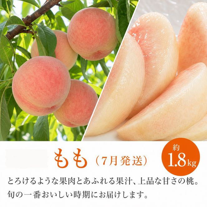 ［全3回 定期便］紀州和歌山産旬のフルーツセット（セミノール・スイカ・桃）［UT151］ 303446_XF91194