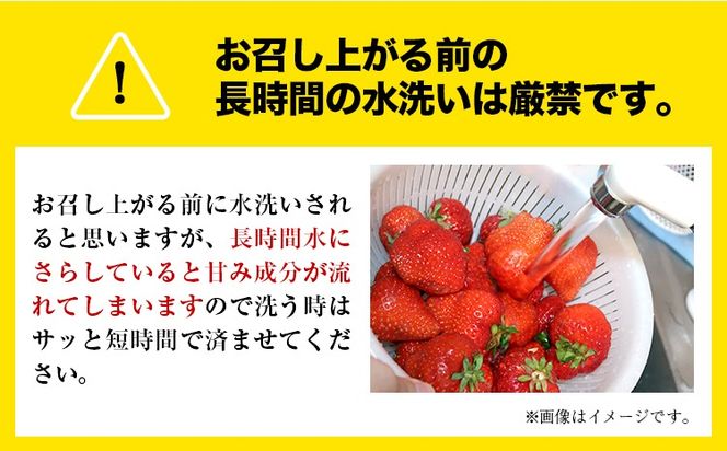 【3ヶ月定期便】先行予約 いちご 苺 ゆうべに 約1000g  約250g×4パック 定期便 熊本 いちご 苺 イチゴ 熊本県 氷川町 ゆうべに いちご《1月中旬-3月末頃出荷》熊本県 氷川町 果物 フルーツ 先行 予約 アフター保証 ふるさと納税 いちご おすすめ---hkw_cjaybntei_24_30000_4p_jan3---