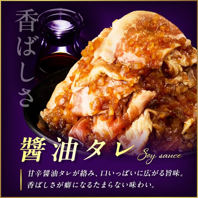 北見市産玉ねぎ使用 味付け豚肉 醤油タレ 300g×2個 ( 肉 豚肉 たまねぎ タマネギ 焼肉 )【224-0016】