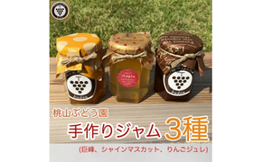 桃山ぶどう園の手作りくだものジャム3種（巨峰、シャインマスカット、りんごジュレ）　※北海道・沖縄・離島への配送不可　※2025年9月中旬頃より順次発送予定
