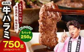 mrz0419 牛肉 ハラミ 750g 小分け 250g×3P【氷温熟成×極味付け 牛肉 訳あり 不揃い 焼肉 BBQ 野菜炒め】