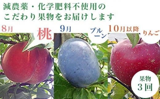 ［年8回定期便］ 農薬・化学肥料を使わずに栽培した野菜と減農薬栽培した果物 年8回定期便 OBUSE Meguru 野菜&フルーツセット シーズンコース［おぶせファーマーズ］おまかせ 野菜 やさい 詰め合わせ 8～12種類 果物 フルーツ 3種類 長野 信州 数量限定 産地直送 令和7年産 【2025年5～6月より順次発送予定】 [FY-4]