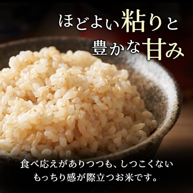 12ヵ月 定期便 (玄米3kg)ホクレンゆめぴりか(3kg×1袋) 北海道米 お米 玄米 ごはん ご飯 ライス 和食 炭水化物 主食 おにぎり お弁当 ほど良い粘り 豊かな甘み つややか 特A [JA新おたる]