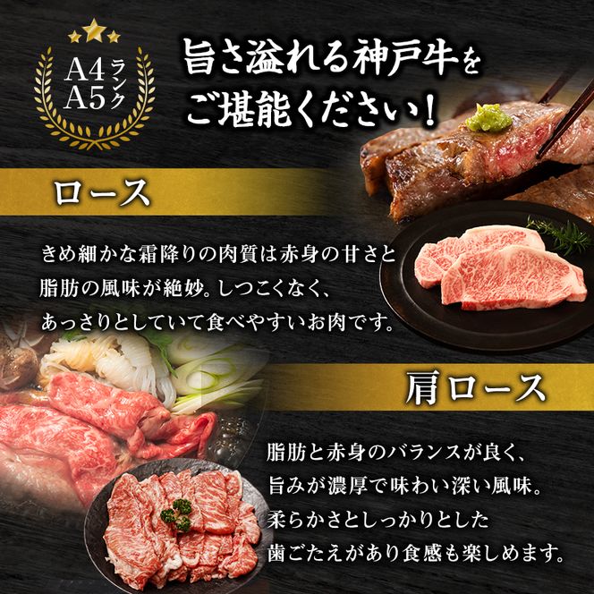 神戸牛 福袋 帝神 おまかせコース E  ロースステーキ 肩ローススライス もも焼肉 ももステーキ ももすき焼き用 すじ肉