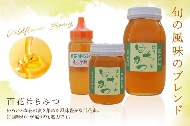 【国産純粋 百花はちみつ 250g ポリ容器】国産 純粋 百花 はちみつ ハチミツ 蜂蜜 紅茶 パン ヨーグルト おすすめ 兵庫県 香美町 辻井養蜂場 81-02