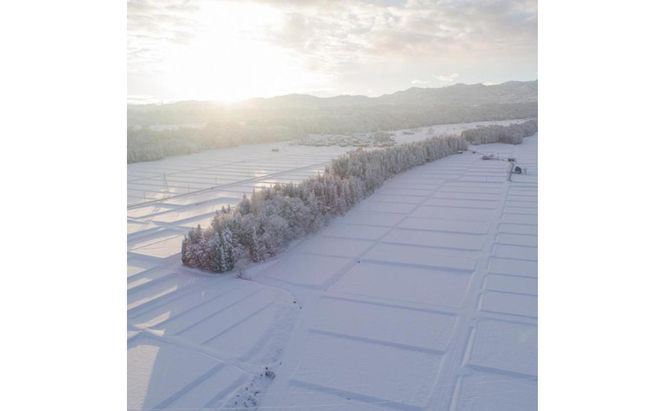 令和7年産！魚沼産こだわり従来コシヒカリ【農家直送!】10kg×3袋 お米 米 コメ 