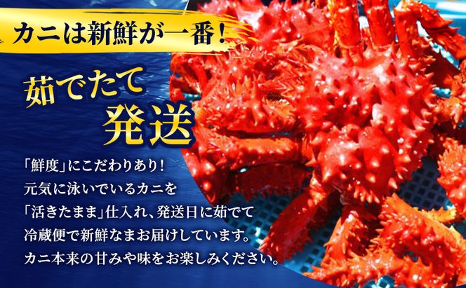 ［冷蔵便］茹でたて直送！北海道産 朝茹で 花咲ガニ 約700g×1尾【 かに カニ 蟹 花咲ガニ 花咲蟹 海鮮 魚介 海の幸 海産物 家庭用 冷蔵 北海道 十勝 幕別 】
