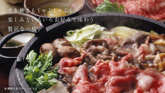 【常陸牛】すき焼き しゃぶしゃぶ用 ( 赤身 450g )( 霜降 400g ) 食べ比べ セット ( 茨城県共通返礼品 ) 牛肉 国産 お肉 肉 すきやき すきやき肉 A4 A5 ブランド牛 黒毛和牛 和牛 国産黒毛和牛 国産牛 [BM048us]