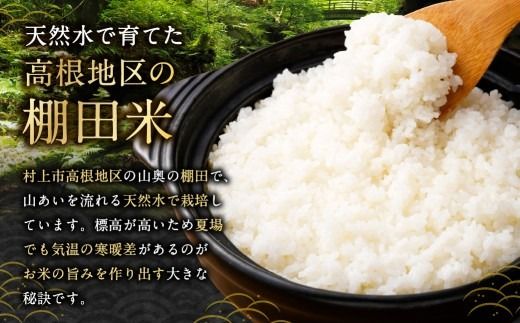 【新米受付・令和8年産米】【定期便：3ヶ月連続でお届け】新潟県村上市岩船産 棚田米コシヒカリ「たかねの花」 5kg×3ヶ月　1104003N