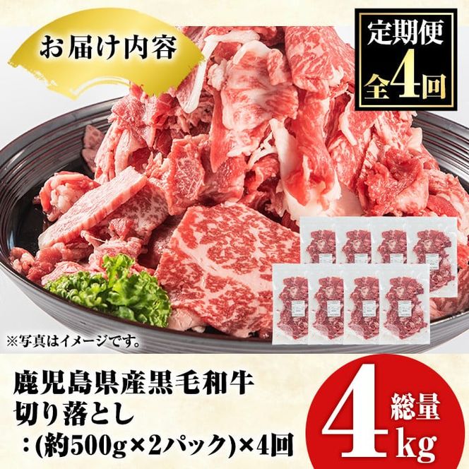 ＜定期便・全4回(隔月)＞鹿児島県産！黒毛和牛切り落とし定期便(総量4kg)国産 九州産 鹿児島産 牛肉 国産牛 切り落とし 切落し 赤身 小分け 頒布会【スターゼン】akn042-24