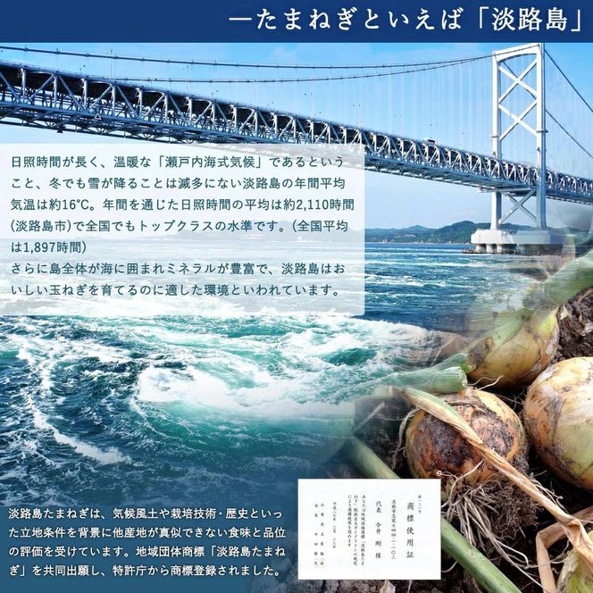 今井ファーム淡路島たまねぎスープ 30食　 スープ 