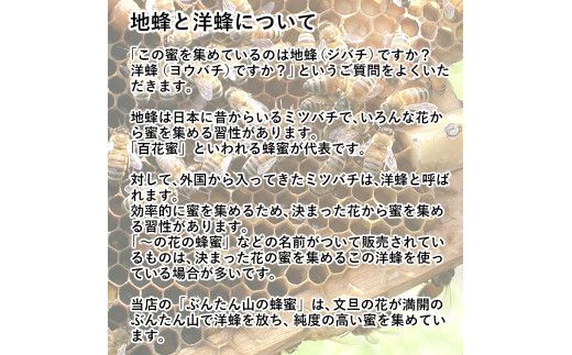 爽やかな香り広がる100%天然蜂蜜 ぶんたん山の蜂蜜　360g  / はちみつ ハチミツ 高知県産 国産 天然はちみつ 土佐 高知 【白木果樹園】【白木果樹園】 [BQAI057]