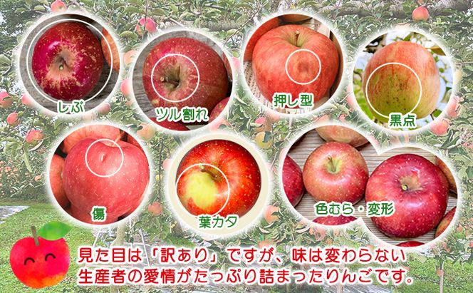 糖度13度以上 ヒバリノ園 【 紅虎 】 あどはだり 葉とらず サンふじ 約 5kg （14～18玉）青森県鰺ヶ沢町産りんご 果物類 フルーツ ※オンライン決済のみ 