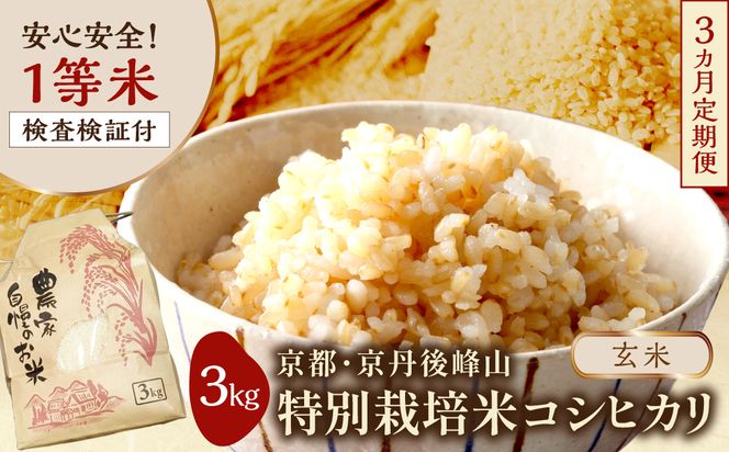 【3ヶ月定期便】2026年産 京都・京丹後峰山 特別栽培米コシヒカリ 3kg 【玄米】 1等米 検査済証付　ふるさと納税 米 玄米 定期便 京都 コシヒカリ 特別栽培 ふるさと納税 玄米 定期便　MF00086