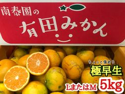 【ちょっと傷あり】極早生・有田みかん 約5kg(LまたはMサイズ)_ZF6004n