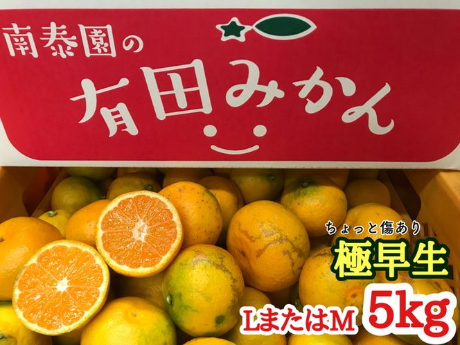 【ちょっと傷あり】極早生・有田みかん 約5kg(LまたはMサイズ)_ZF6004n