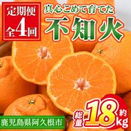 ＜先行予約受付中！定期便・全4回(12月・1月・2月・3月)＞鹿児島県産不知火ざんまい(総量約18kg) 国産 果物 フルーツ 柑橘 旬 しらぬい 定期便 頒布会 シラヌイ 数量限定 期間限定 阿久根市産【三笠農業生産】akn051-15