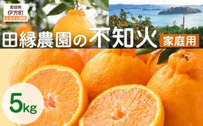 【先行予約】【家庭用】不知火 5kg ※離島への配送不可 （2026年2月10日より順次発送） IKTA035