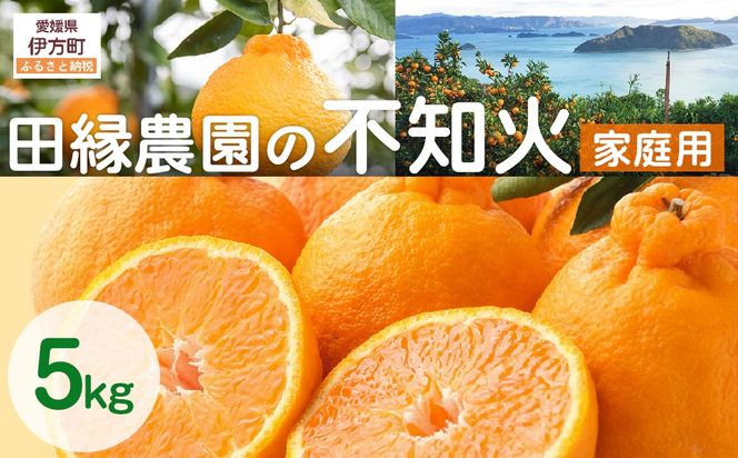 【先行予約】【家庭用】不知火 5kg ※離島への配送不可 （2026年2月10日より順次発送） IKTA035