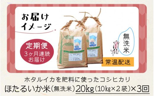 ほたるいか米（無洗米20kg）×3回 計60kg【3ヶ月定期便】