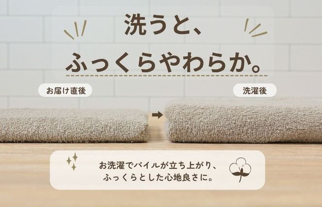 015B688 デイリーフェイスタオル 10枚セット (ダークグレー・サンドベージュ）【国内製造 日本製 泉州タオル スーピマコットン 無地 吸水力 耐久性】