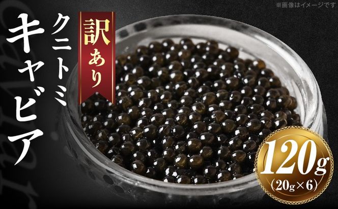 【訳あり】クニトミキャビア 120gセット(20g×6)_a0198_mc