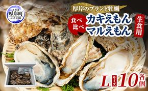 牡蠣 厚岸のブランド牡蠣 食べ比べ 生食用 カキえもん マルえもん Lサイズ 各10個  [ 魚貝類 海鮮 海のミルク 国産 生食用殻付き牡蠣 まろやか クリーミー 食べやすい品種 海の香り 牡蠣の酒蒸し 焼き牡蠣  ]