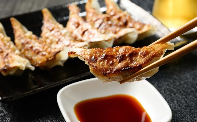 お肉屋さんの特製 餃子 40個 | 餃子 ぎょうざ 冷凍餃子 焼き餃子 ジューシー 冷凍 ギョーザ ギョウザ 惣菜 中華 冷凍食品 国産 お取り寄せ グルメ おかず おつまみ ご飯のお供 簡単 時短 岐阜 瑞穂市 まるたか