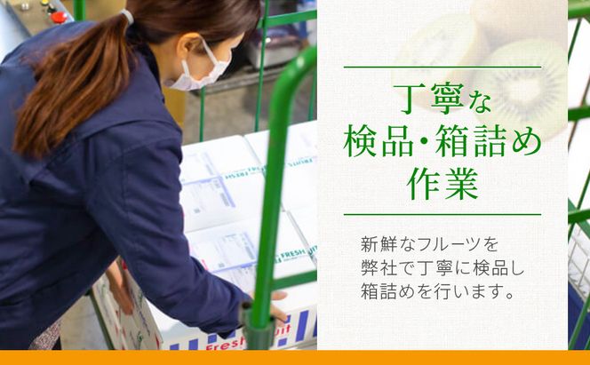 JA遠州中央 紅ほっぺ いちご 2パック 260g×2 遠中 静岡県 静岡 袋井市 袋井 イチゴ 苺 贈答 フルーツ 果物 くだもの 人気
