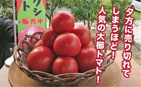 【甘くて濃厚】大玉 トマト 4kg 糸島産 《糸島》 【大櫛トマトファーム】 [AQH002] 糸島野菜 野菜 とまと サラダ ジャム シャーベット かれん 彩り