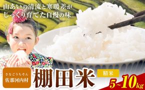 清流と寒暖差が生む村自慢の棚田米 精米 5kg 10kg 《1月中旬-2月下旬》徳島県 佐那河内村 お米 米 白米 送料無料---sanagouchi_lcl_45_5kg---