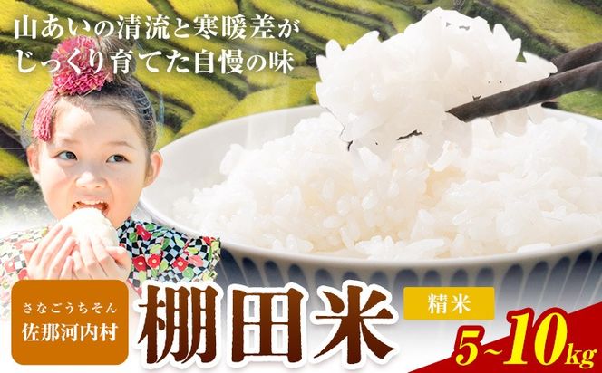 清流と寒暖差が生む村自慢の棚田米 精米 5kg 10kg 《1月中旬-2月下旬》徳島県 佐那河内村 お米 米 白米 送料無料---sanagouchi_lcl_45_5kg---
