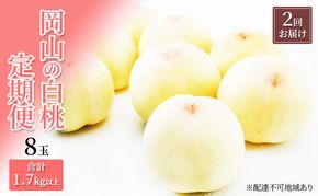 桃 定期便 2026年 先行予約 岡山 の 白桃 8玉 合計1.7kg以上×2回 お届け 化粧箱入り もも モモ 岡山産 国産 フルーツ 果物 ギフト 