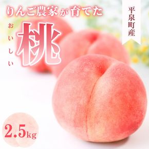 ≪ 2026年8月中旬より順次発送≫ 平泉町産 桃 約2.5kg  (7～10玉)  黄金桃 / 桃 もも モモ 白桃 フルーツ 甘い 大文字りんご園 【dma501-og】