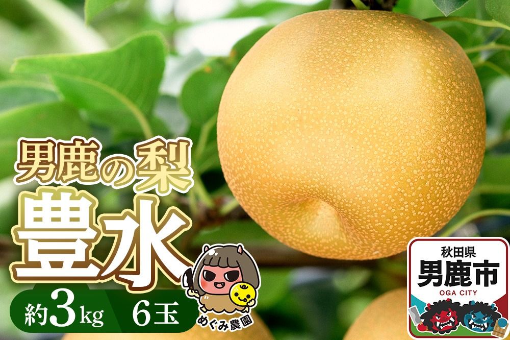 先行受付 男鹿の梨 豊水 約3kg 6玉 梨 秋田県 男鹿市 [めぐみ農園]|23_mgm-010301