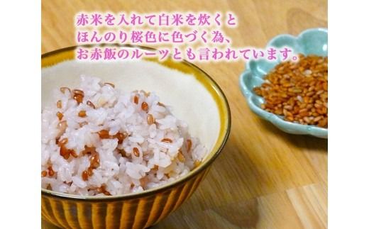 【射水の美味しいお米】【自然栽培農法】自然栽培農家 marufarm 自然栽培米「赤米」900g（300g×3袋）※離島への配送不可