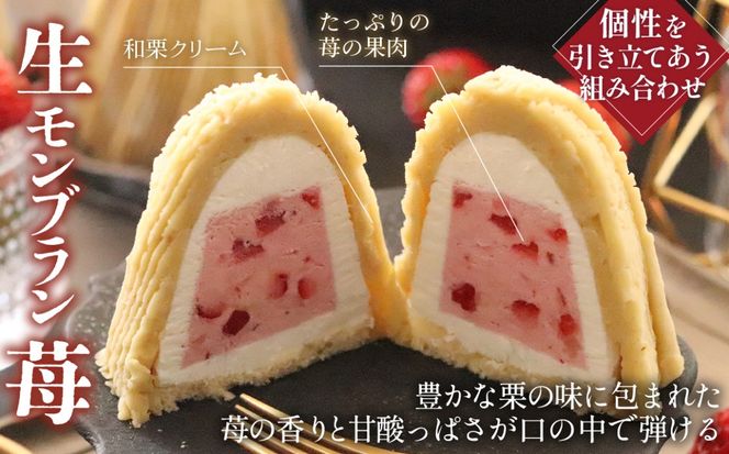 生モンブラン3種　4個入　1箱 [No.488]