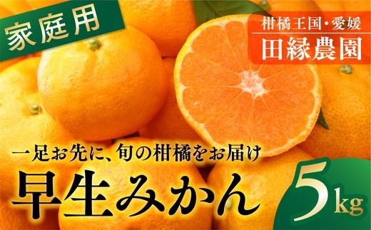 【先行予約】【家庭用】早生みかん 5kg ｜ 柑橘 みかん ミカン フルーツ 果物 愛媛　※離島への配送不可　※2024年11月下旬～12月上旬頃に順次発送予定