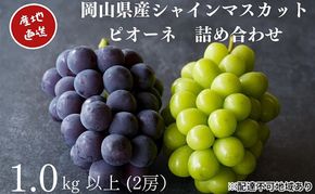 厳選 シャインマスカット・ニューピオーネ 2房 合計1.0kg以上 詰合せ 産地直送 朝採れ ぶどう 葡萄 Kawahara Green Farm 岡山県産 2026年 先行予約