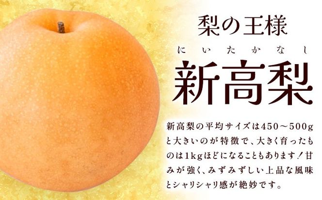 【2026年先行予約】梨 岡山県産 新高梨 約4kg 3～6玉 株式会社山博《2026年9月下旬-11月上旬頃出荷》新高 フルーツ 化粧箱入り 岡山県 笠岡市 送料無料---Y-36a---