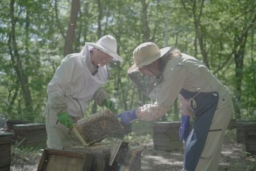 はちみつ焼菓子ギフトセット ｜ 洋菓子 焼き菓子 スイーツ 贈答 ギフト 詰合せ セット