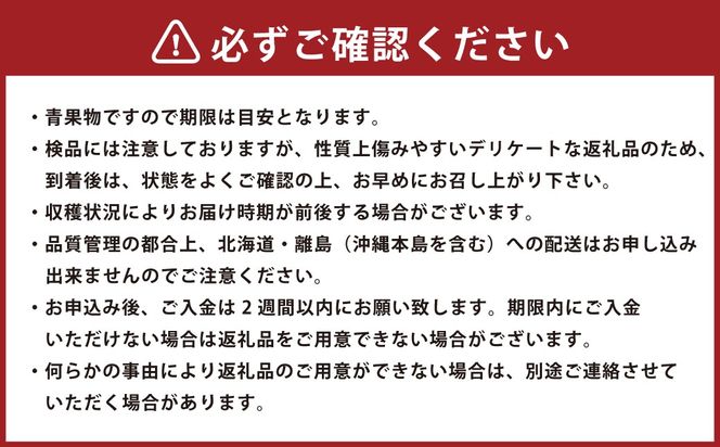 博多あまおう（冬） 約250g～270g×4パック 計約1kg～1.08kg【2026年12月上旬-2027年1月下旬発送予定】 いちご 苺 イチゴ 果物 フルーツ