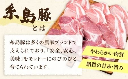 【全12回定期便】糸島豚ロース肉6枚 肩ロースカツ5枚 合計11枚セット《糸島》【糸島ミートデリ工房】 [ACA231]