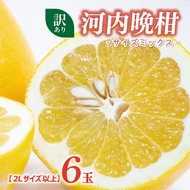 訳あり 河内晩柑 2L サイズ 以上 6玉  (約 3.5kg) サイズミックス 5000円 みかん かわちばんかん ミカン mikan わけあり 愛南ゴールド 家庭用 あいなん ゴールド 美生柑 文旦 派生 和製 グレープフルーツ 産地直送 国産 農家直送 期間限定 数量限定 特産品 人気 甘い おいしい フルーツ 果物 柑橘 蜜柑 アイス ジュース 等に 規格外 大樹農園 愛南町 愛媛県